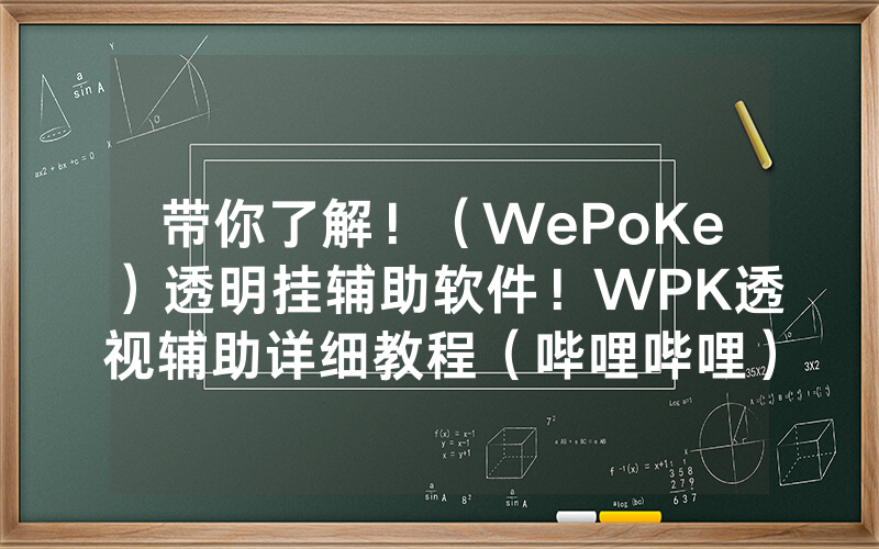 带你了解！（WePoKe）透明挂辅助软件！WPK透视辅助详细教程（哔哩哔哩）