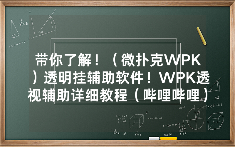 带你了解！（微扑克WPK）透明挂辅助软件！WPK透视辅助详细教程（哔哩哔哩）